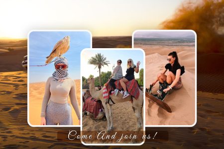 Morning desert safari experience